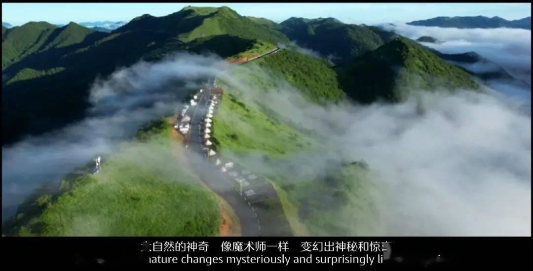 斯伦贝谢一度跌近10%